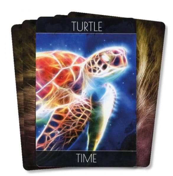 Spirit Animal Oracle