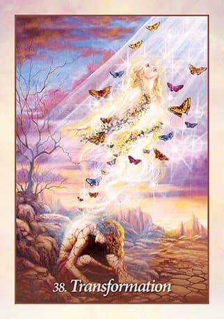 Oracle Of The Angels : Healing Messages from the Angelic Realm