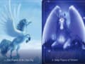 Miniatyrbild 5 av 6: Pegasus Oracle