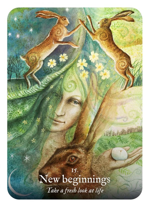 Goddess Love Oracle - Wendy Andrew NYHET!