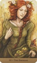 Miniatyrbild 2 av 11: Tarot of the Hidden Realm (Boxed kit)