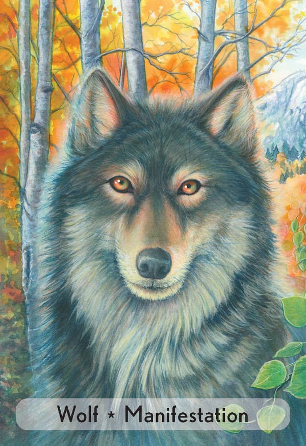 Enchanted Animal Oracle Cards