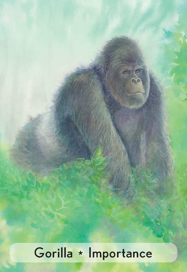Enchanted Animal Oracle Cards