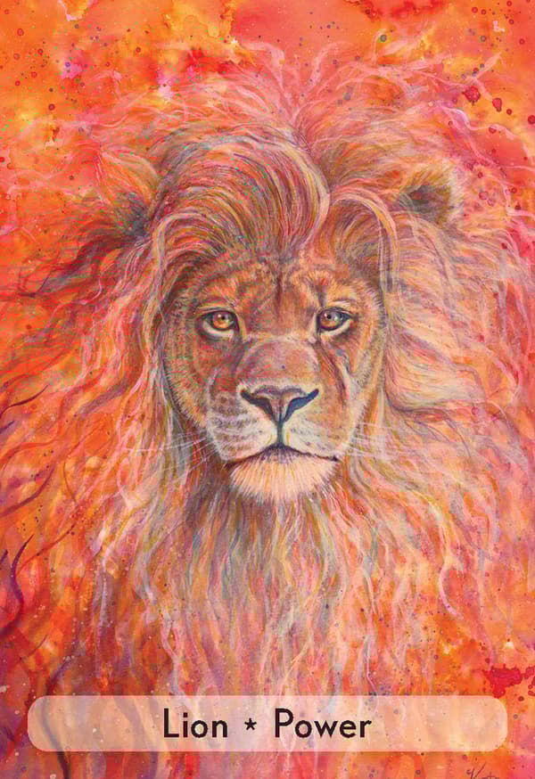 Enchanted Animal Oracle Cards