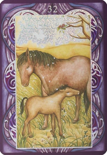 Wicca Oracle Cards