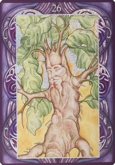 Wicca Oracle Cards