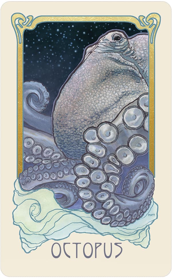 Dreamscape Oracle NYHET!