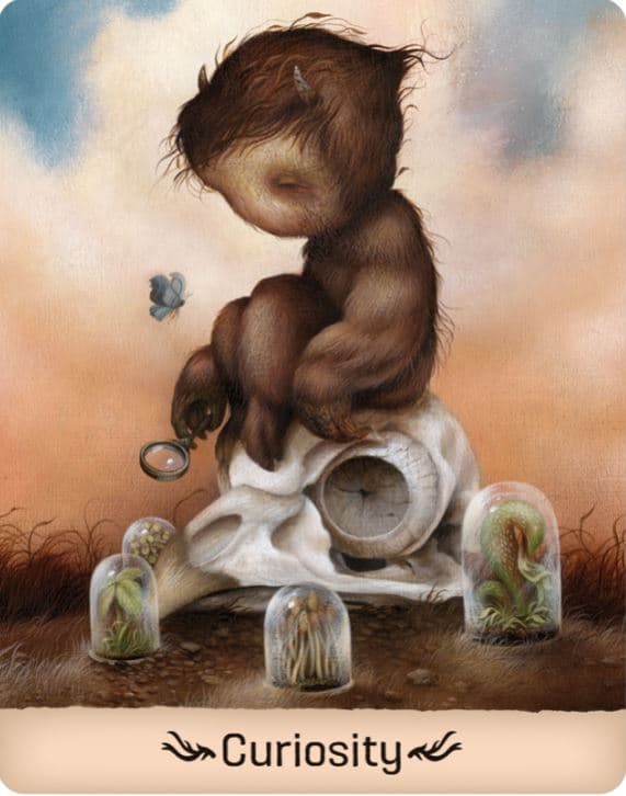 Gentle Creatures Wisdom NYHET!