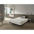 Miniatyrbild 7 av 7: Fickresårmadrass IKON SLEEP NATUR PREMIUM - 180 x 200 cm