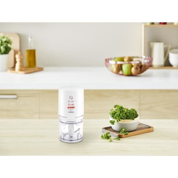 SEB Valentin Mini elektrisk hackare, 220 W, 1 hastighet, Rostfria blad, Kapacitet 50 g, Mixer, Tillverkad i Frankrike 855306