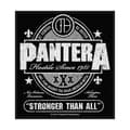 Miniatyrbillede 2 af 2: Pantera - Stronger Than All Retail Packaged Patch