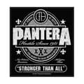 Miniatyrbillede 1 af 2: Pantera - Stronger Than All Retail Packaged Patch
