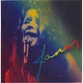 Miniatyrbilde 1 av 2: Janis Joplin - Rainbow Printed Patch