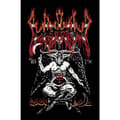 Miniatyrbild 2 av 2: Watain - Baphomet Textile Poster