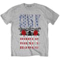 Miniatyrbillede 1 af 4: Guns N Roses - Us Flag In Logo Uni Grey    S