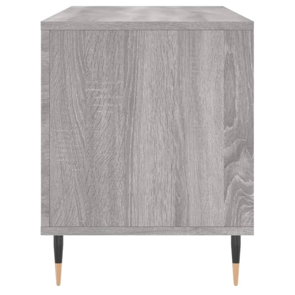 vidaXL LP-levyjen säilytyskaappi harmaa Sonoma 100x38x48 cm puu