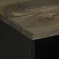 Miniatyrbilde 6 av 11: vidaXL TV-benk svart 100x33x46 cm heltre mango