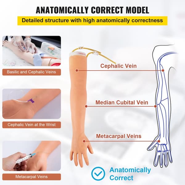 IV-harjoittelusetti verinäytteenottoharjoitteluun, realistinen anatomia, kestävä lateksikäsi