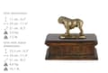 Miniatyrbild 3 av 7: Engelsk bulldog, Bulldog - urna för hundaska, klassisk urna med statyett, elegant urna med hund av Art-Dog