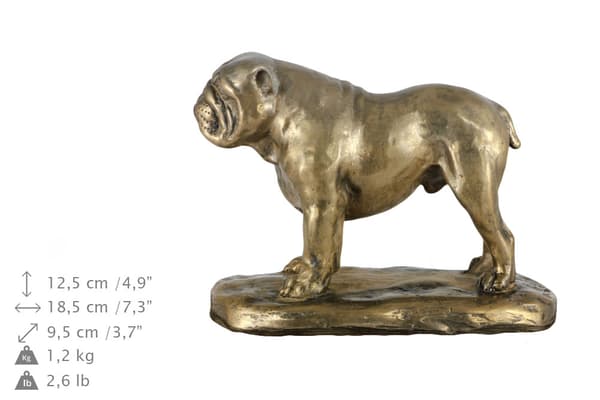 Engelsk bulldog, Bulldog - urna för hundaska, klassisk urna med statyett, elegant urna med hund av Art-Dog
