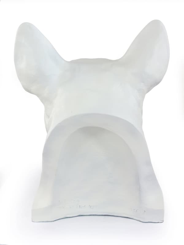 Bull terrier, Bull Terrier I - urna för hundaska, hundbyst, stort hundhuvud för trädgården av Art-Dog