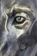 Miniatyrbild 7 av 11: Doberman, Dobermann - urna för hundaska, hundbyst, stort hundhuvud för trädgården av Art-Dog