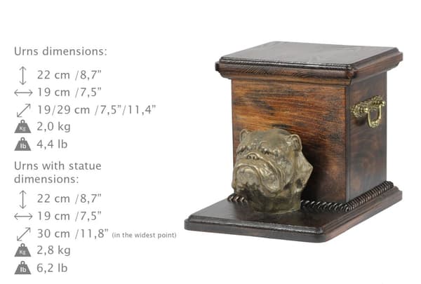 Engelsk bulldog, Bulldog - urna för hundaska med statyett, elegant urna för en hund, unik urna med hundbyst av Art-Dog