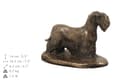 Miniatyrbild 4 av 7: Czech Terrier, Cesky Terrier - urna för hundaska, klassisk urna med statyett, elegant urna med hund av Art-Dog
