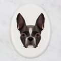 Miniatyrbild 3 av 4: Boston Terrier, Boston Bull Terrier - en bricka med ett foto och en geometrisk inskription av Art-Dog