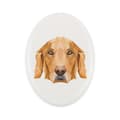 Miniatyrbild 1 av 4: Golden Retriever - kakel med ett foto och en geometrisk inskription av Art-Dog