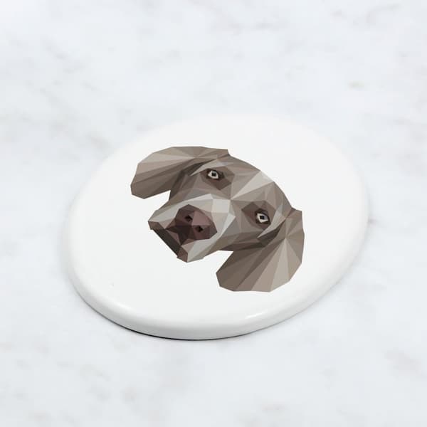 Weimarinseisoja, Weimarinseisoja - geometrinen laatta valokuvalla ja Art-Dogin kirjoituksella