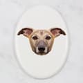 Pikkukuva 3 / 4: Whippet, englantilainen vinttikoira - laatta, jossa on valokuva ja geometrinen kirjoitus Art-Dogilta