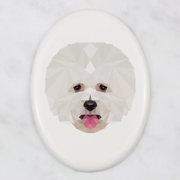 Bichon Frise, Tenerife Dog - geometrisk flise med et foto og inskription af Art-Dog