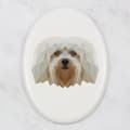 Miniatyrbild 3 av 4: Havanese, Havanese - kakel med ett foto och en geometrisk inskription av Art-Dog
