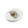 Miniatyrbild 2 av 4: Havanese, Havanese - kakel med ett foto och en geometrisk inskription av Art-Dog