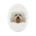Miniatyrbild 1 av 4: Havanese, Havanese - kakel med ett foto och en geometrisk inskription av Art-Dog