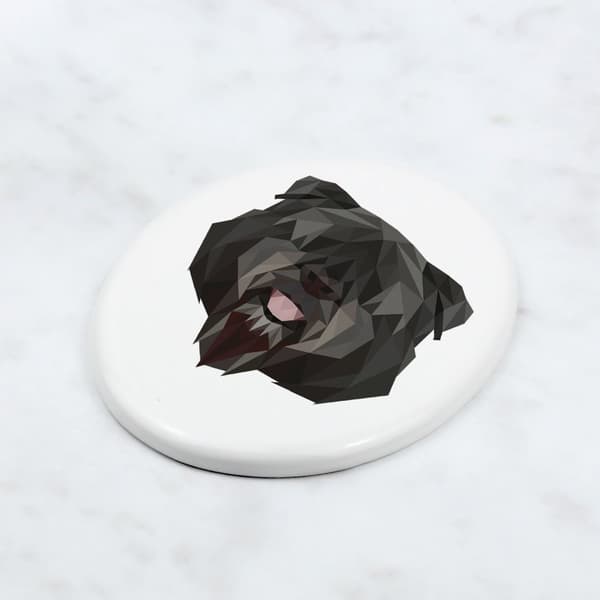 Bouvier des Flandres - laatta, jossa on valokuva ja geometrinen kirjoitus Art-Dogilta