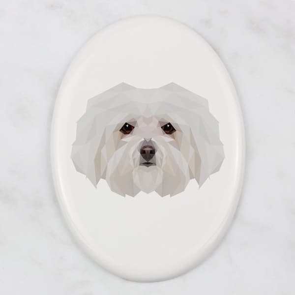 Bolognese, Bolognese - en bricka med ett foto och en geometrisk inskription av Art-Dog