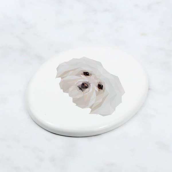 Bolognese, Bolognese - en bricka med ett foto och en geometrisk inskription av Art-Dog