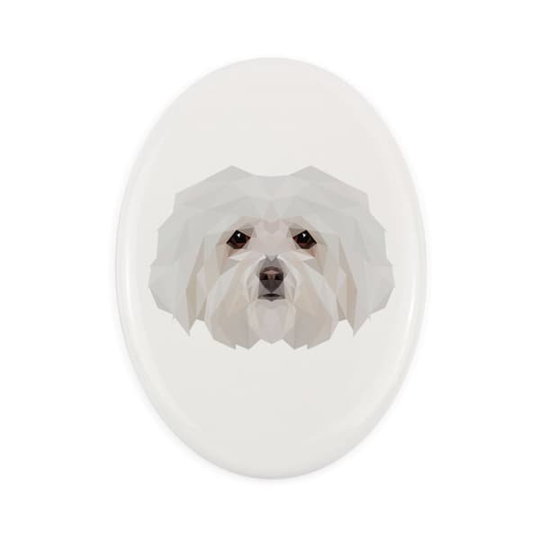 Bolognese, Bolognese - en bricka med ett foto och en geometrisk inskription av Art-Dog
