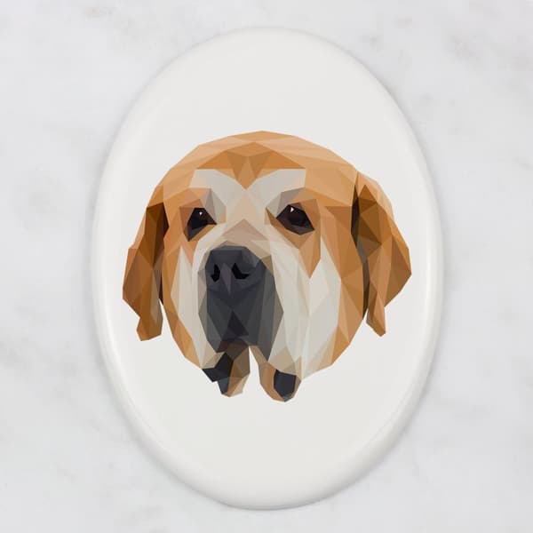 Spanish Mastiff - en bricka med ett foto och en geometrisk inskription av Art-Dog