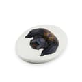 Miniatyrbillede 2 af 4: Leonberger - en flise med et foto og en geometrisk inskription af Art-Dog