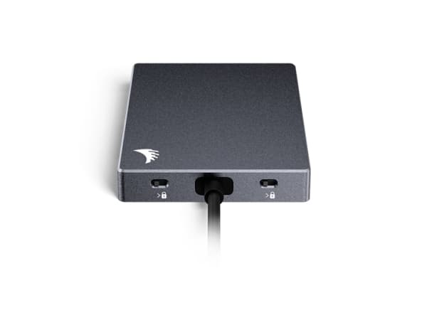 Angelbird Technologies SDD31PK, SDXC, Silver, 10000 Mbit/s, USB 3.2 Gen 2 (3.1 Gen 2) Type-C, 65 mm, 95 mm