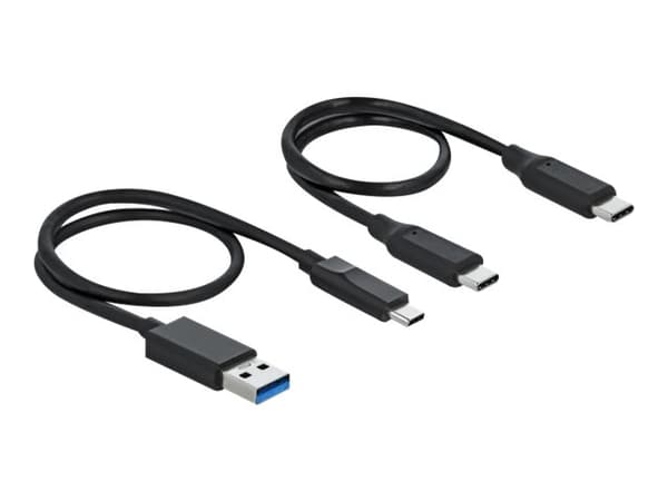 Delock - Kortinlukija (MMC, SD, miniSD, RS-MMC, MMCmobile, CFast Card type I, CFast Card type II, SDHC, miniSDHC, SDXC, SDHC UHS-I, SDXC UHS-I, SDHC