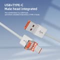 Miniatyrbild 8 av 9: Minneskortläsare med USB, MicroUSB och USB-C – Multifunktionell lösning för filöverföring