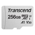 Miniatyrbild 1 av 3: microSDXC 256GB U3 (R95/W40)