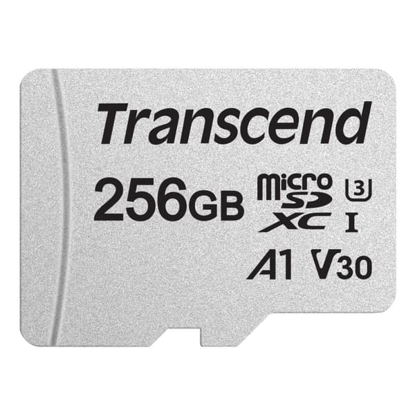 microSDXC 256 GB U3 (R95 / W40)