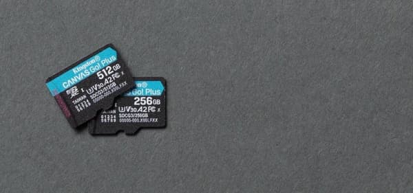 Kingston Technology Canvas Go! Plus Flash-hukommelse 256 GB SD Klasse 10 UHS-I