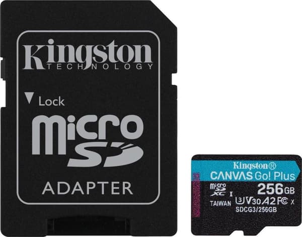 Kingston Technology Canvas Go! Plus Flash-muisti 256 Gt SD Class 10 UHS-I