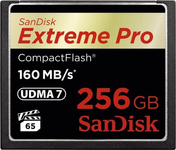 SanDisk - CompactFlash 256GB